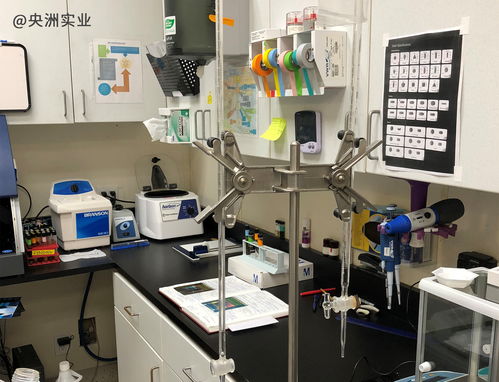 oem odm進口食品貼牌代工生產 央洲實業